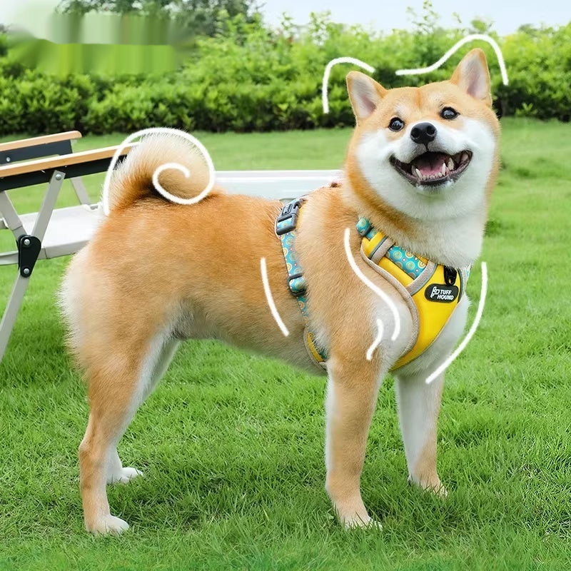 Pet Harness Vest-style Grande laisse de marche Petit à Moyen chien laisse