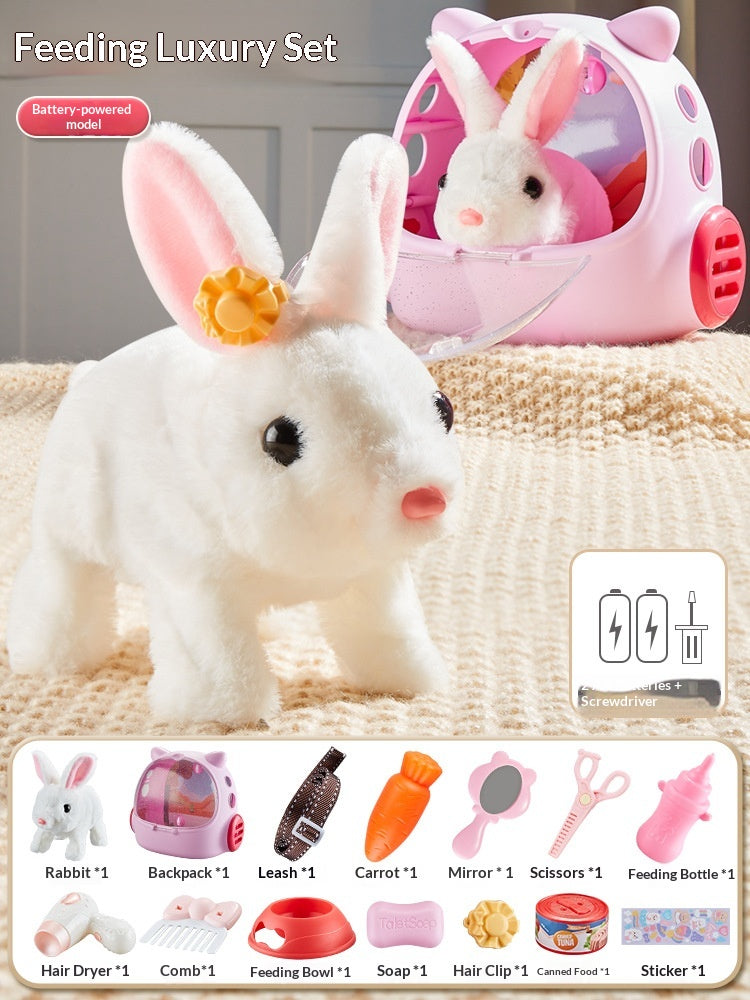 Ensemble de jouets pour chiens créatifs et uniques pour enfants
