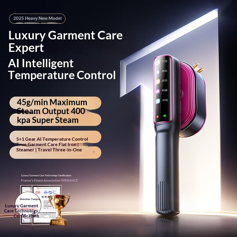 Modèle Home-use Compact Steam Electric Fer