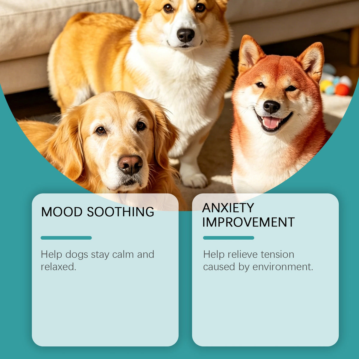 Soins aux chiens Comprimés à croquer Soins quotidiens Corps des chiens Nutrition Balance Imune Soins silencieux Comprimés