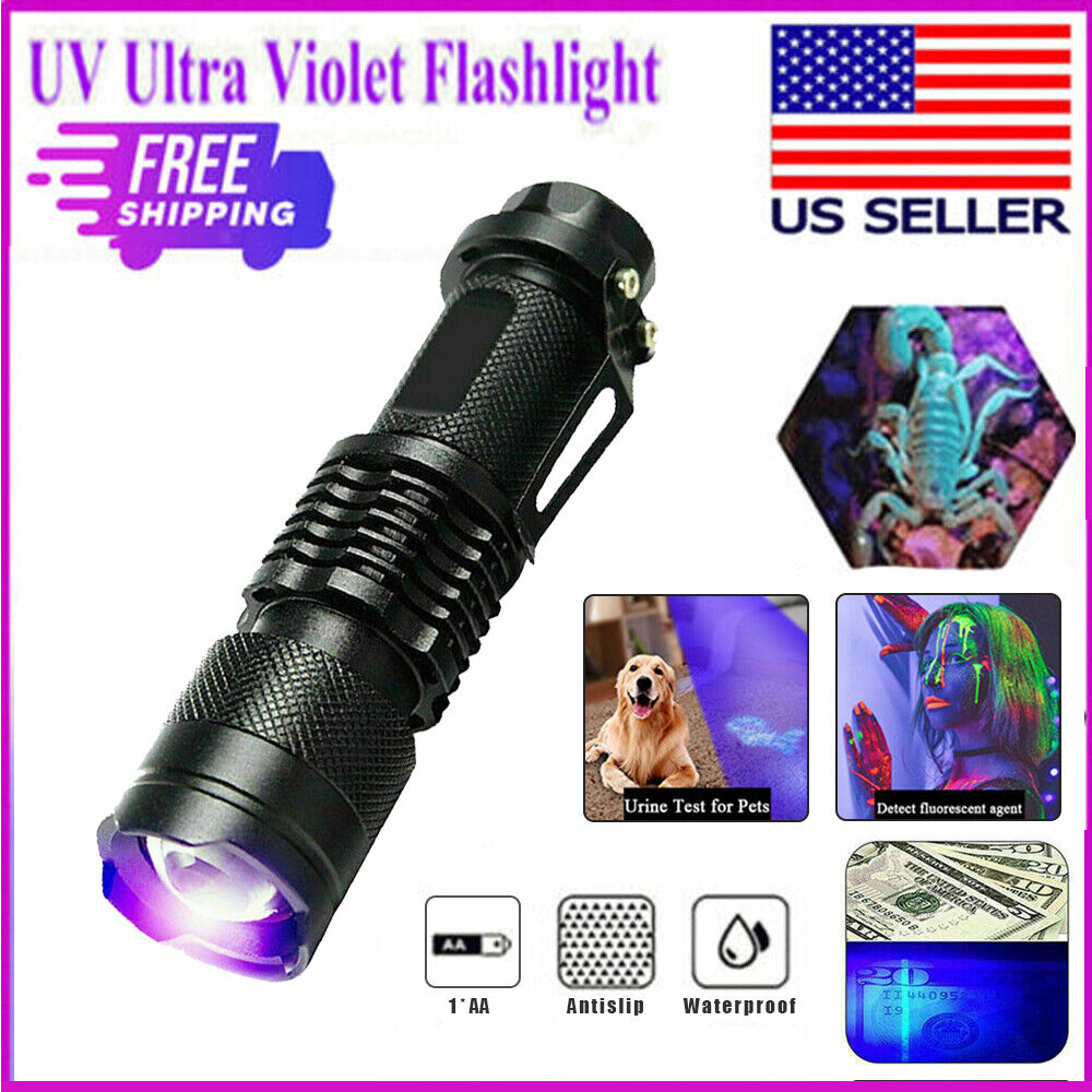 Lampe de poche UV Ultra Violet Lampe de poche portatif Petite lampe de poche 395nm Mini lumière Inspectio