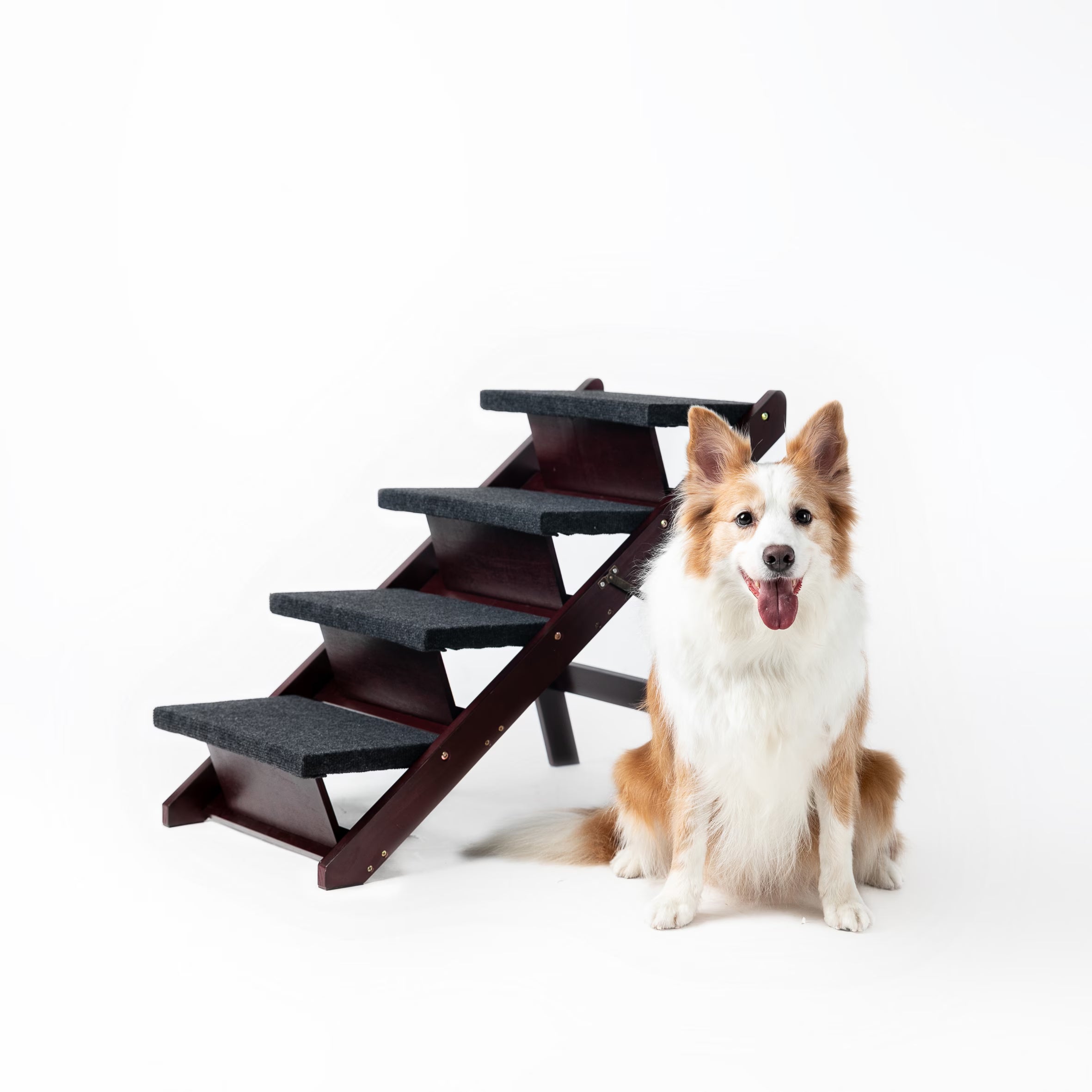 Escaliers de chien en bois Étapes - pliable 4 niveaux Escaliers et rampe pour animaux de compagnie parfait pour les lits et les voitures -