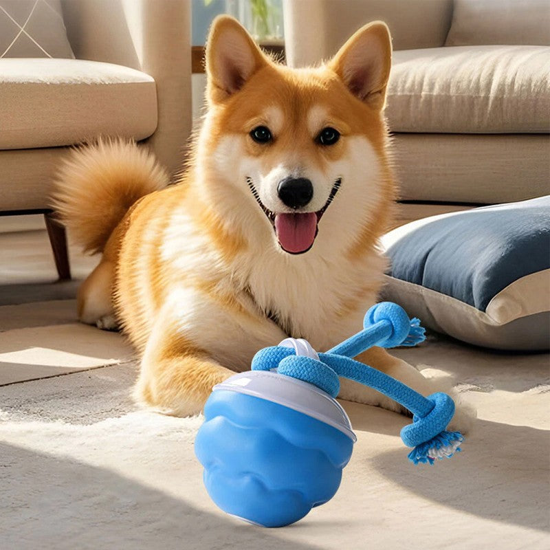 La Chase Buddy Dog Boredom Jouet stimulant Smart Pet Puppy Ball avec des ropes