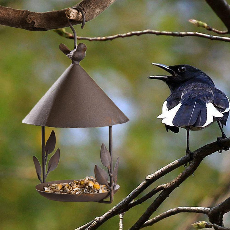 American fait vieux fer forgé mangeur d'oiseaux
