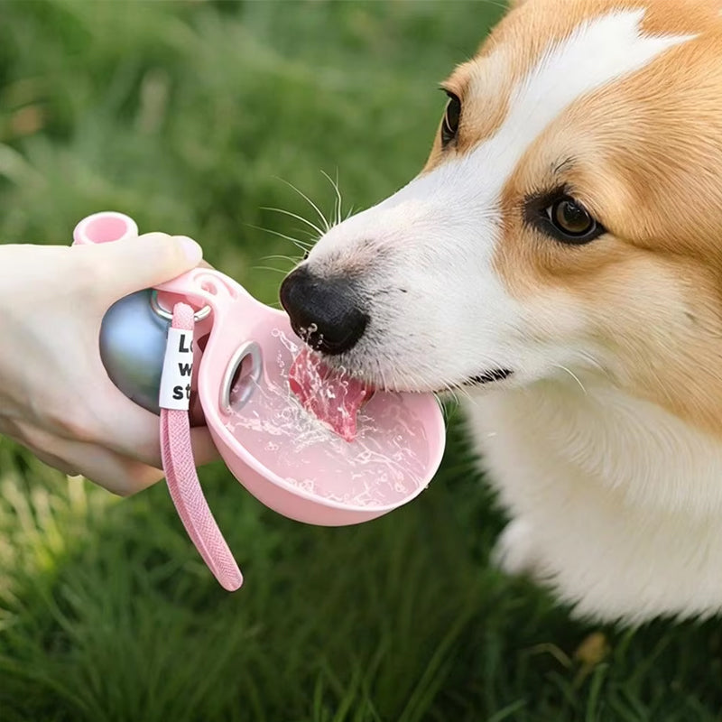 Bouteille d'eau portable 2-en-1 pour chien en acier inoxydable avec bol en silicone pliable