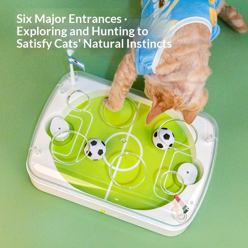 Jouet de poursuite intelligent activé par le mouvement pour chat et terrain de football