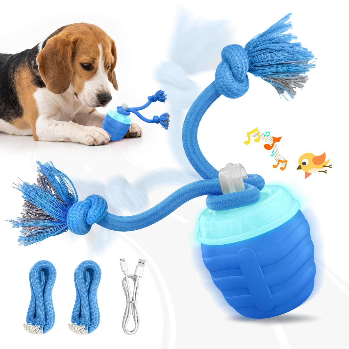 Jouets interactifs pour chiens