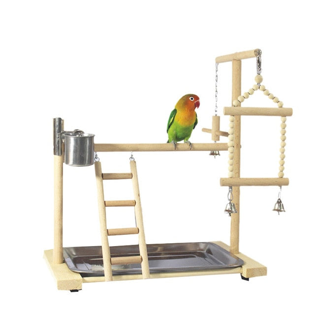 Support en bois pour perroquet à plancher de petite cockatiel