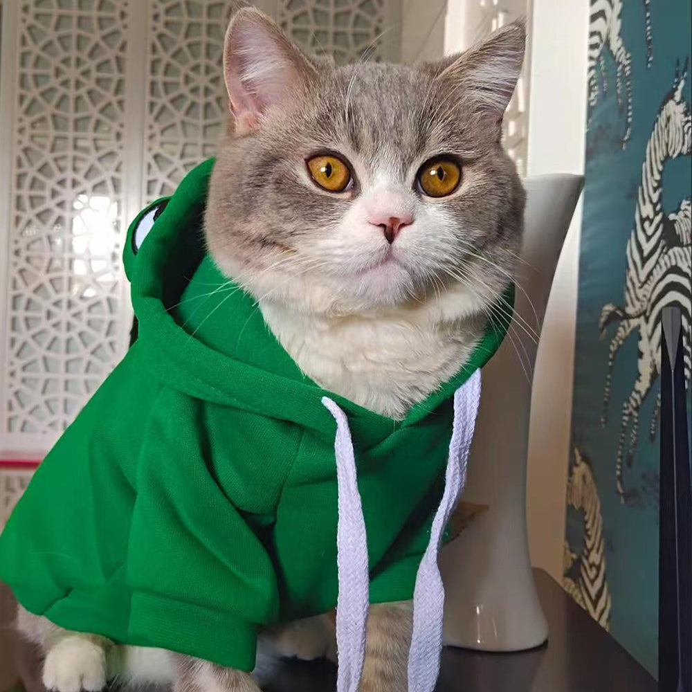 Doucement chaud vêtements de chat pour petits chiens chats drôle Halloween Cosplay Frog costume Kitten Crea
