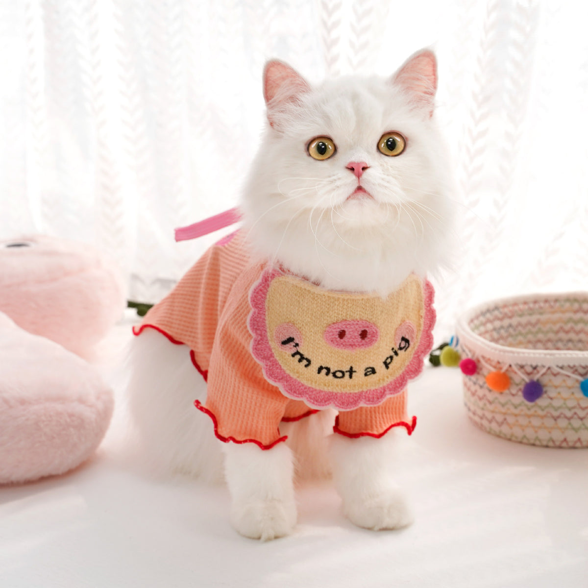 Bib de chat brodé en dentelle de style animal