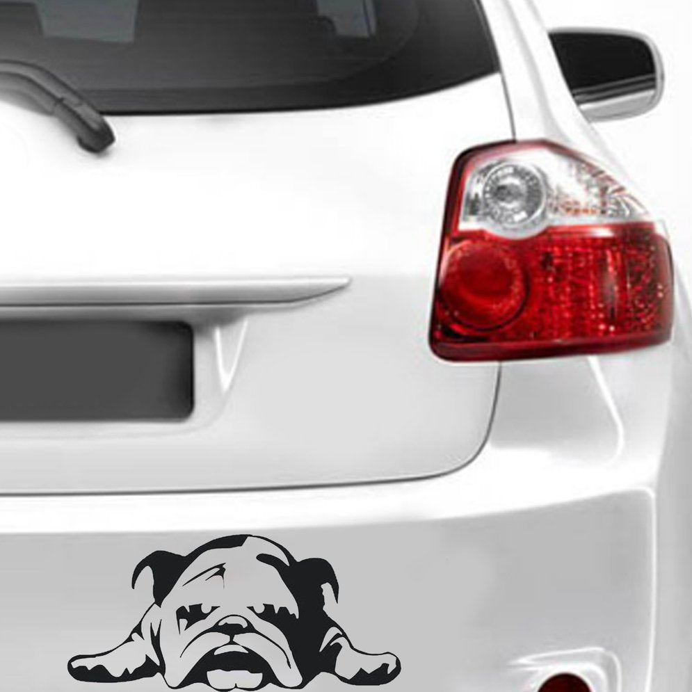 Autocollants de voiture anti-rayures Bulldog