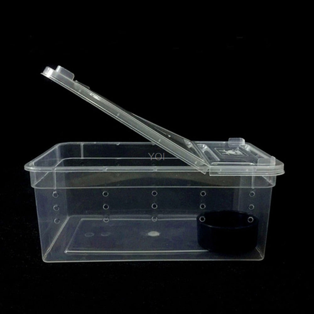 Boîte d'alimentation en plastique transparent reptile