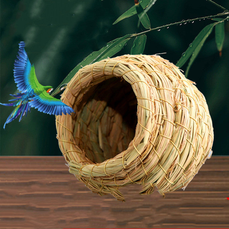 Nid d'oiseaux chauds de paille