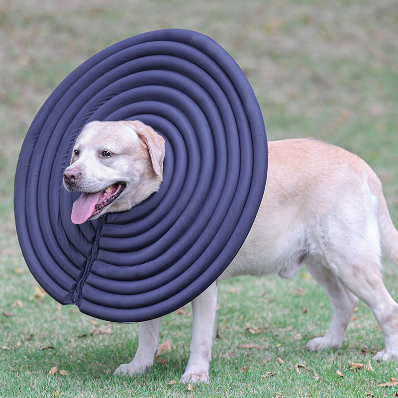 Pet Creative Summer Natation Anneau de protection contre le léchage et le biting