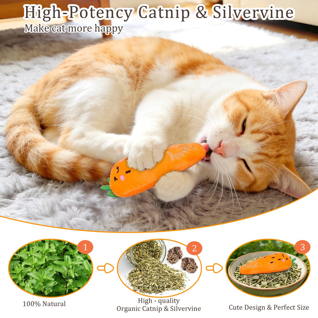 Jouets Catnip