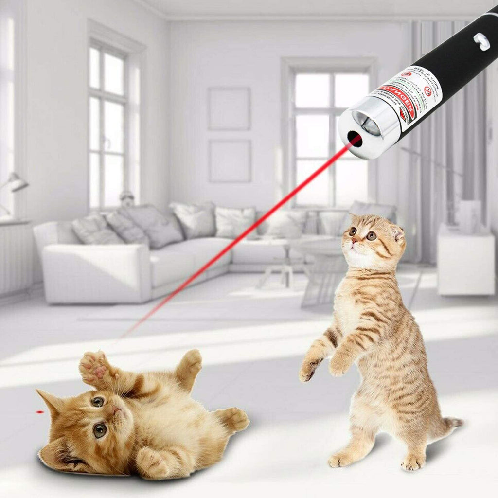 650nm rouge pointeur laser stylo lumière visible faisceau unique AAA Lazer Torch 10PCS 9900 Miles Min