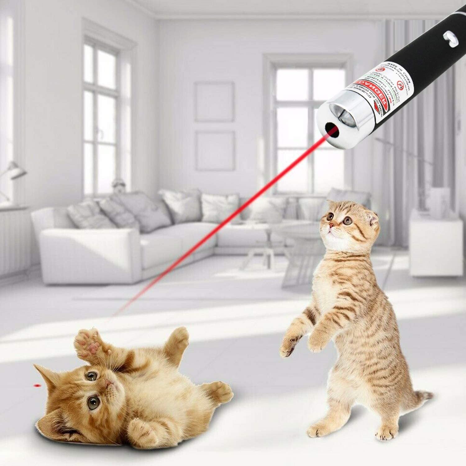 650nm rouge pointeur laser stylo lumière visible faisceau unique AAA Lazer Torch 10PCS 9900 Miles Min