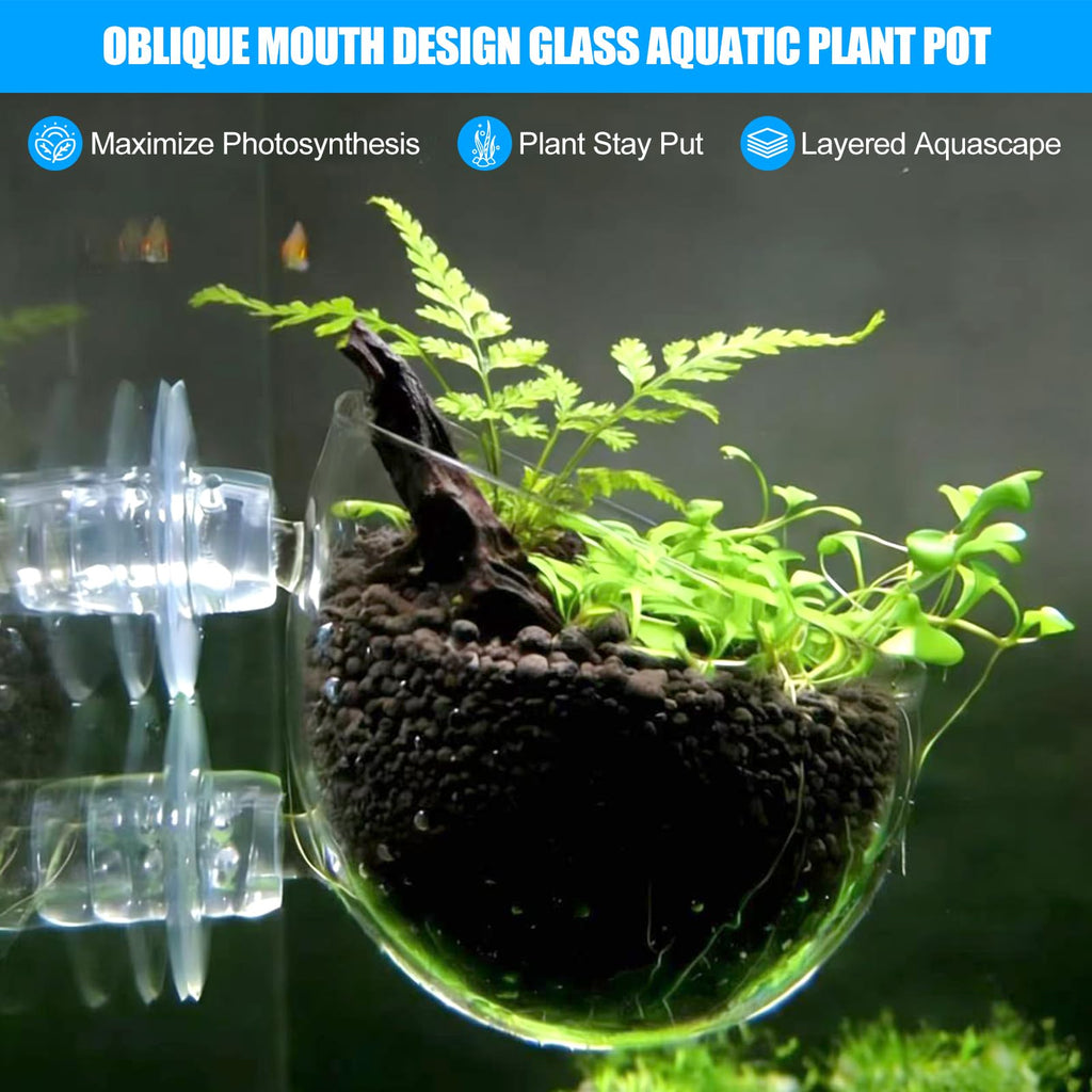Pot en verre Aquarium pour la décoration