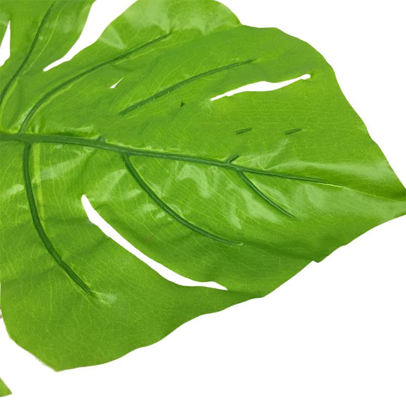 Simulation Feuille de tortue Feuille de tournesol