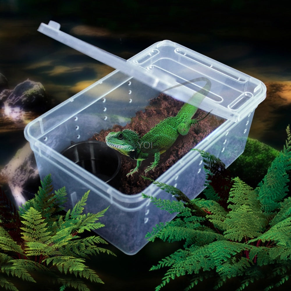 Boîte d'alimentation en plastique transparent reptile