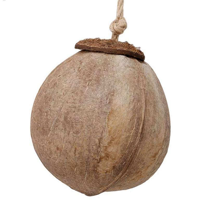 Oiseaux de noix de coco