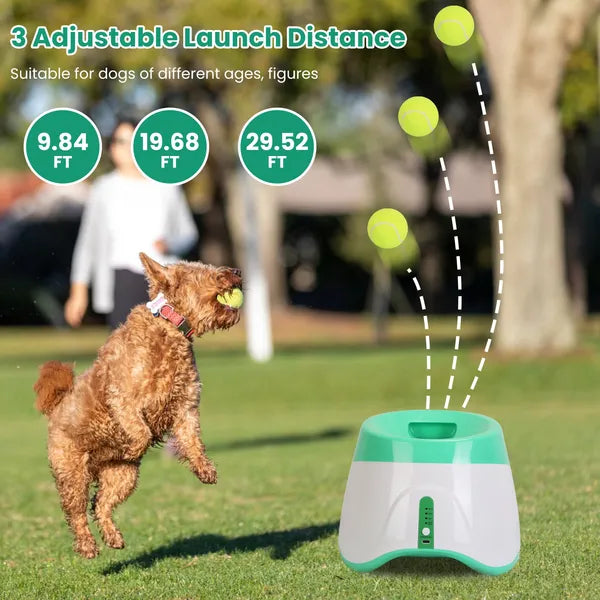 Launcheuse automatique de balle de chien inclus 6 balle de tennis chien avec 3 distance de lancement réglable