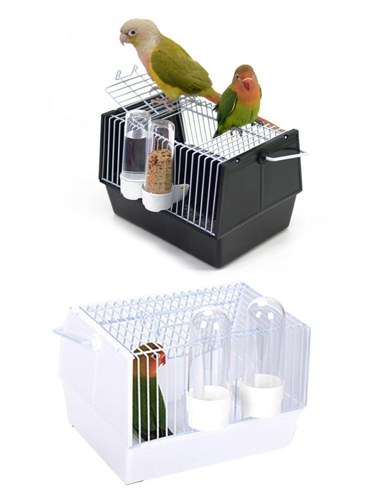 Hors de la cage des oiseaux