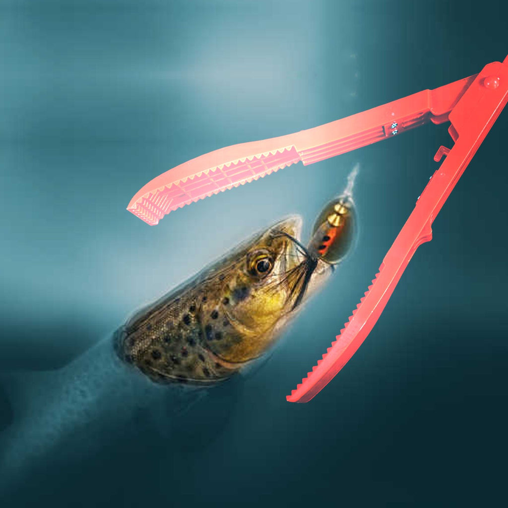 Plastic Fish Control Clip Outdoor Appareils portatifs