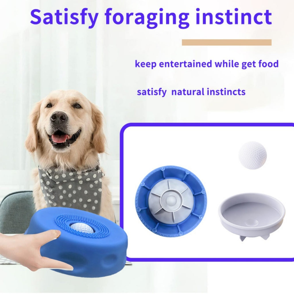 Lent Feeder Licking Bowl