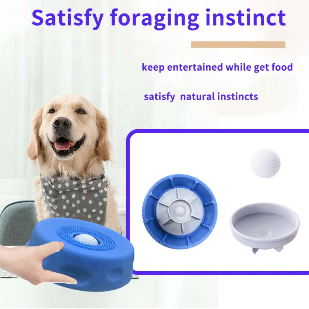 Lent Feeder Licking Bowl