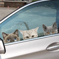 Stickers Funny 3D Chat Dog Demi-face Peeking Car - 5 Stickers