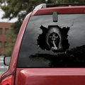 Halloween voiture mur plancher Crâne Bumper Horror Sticker
