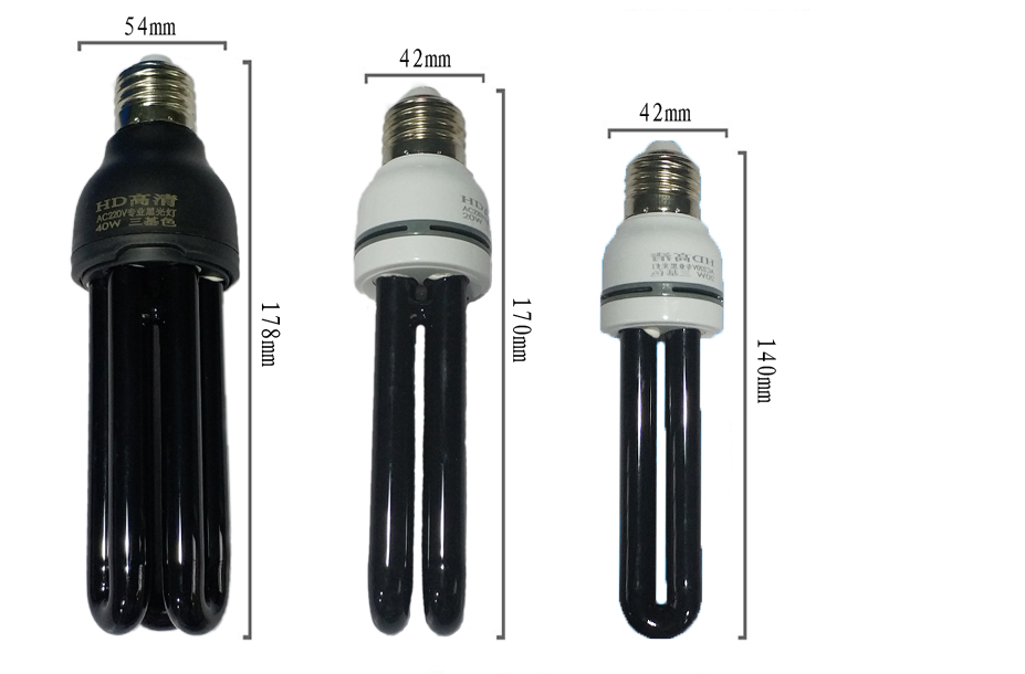 Lumière noire de piège à économie d'énergie