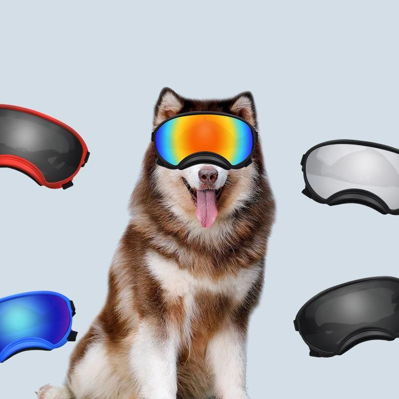 Lunettes de soleil de ski à la mode pour chiens de taille grande et moyenne