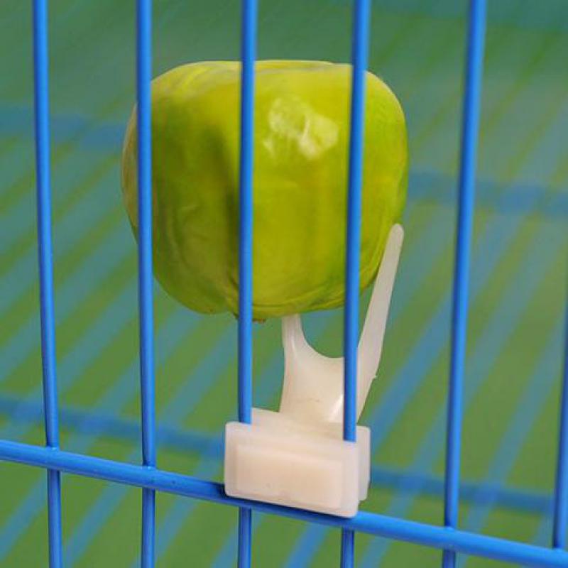 Fourche à fruits d'oiseaux
