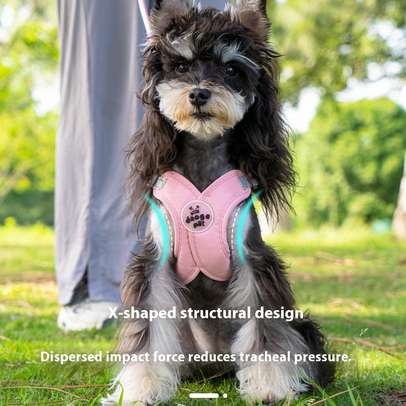 Corde de maintien de la main du Veste d'animal