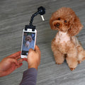 Stick Pet Selfie
