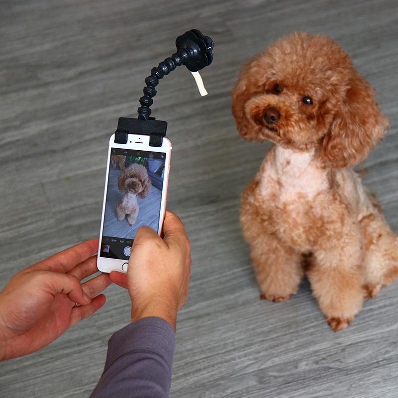 Stick Pet Selfie