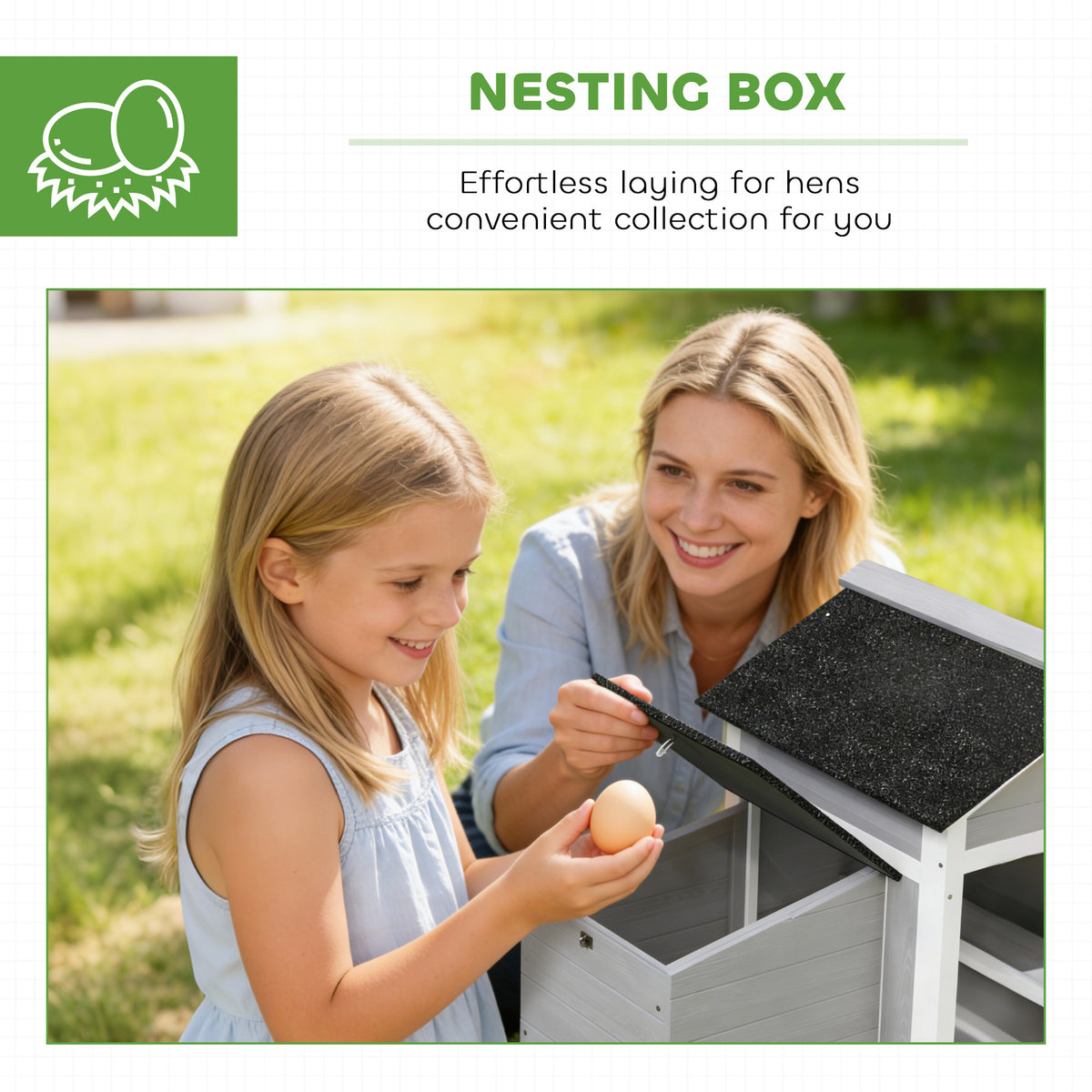 Coop de poulet en bois extérieur avec boîte de nidification
