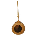 Oiseaux de noix de coco