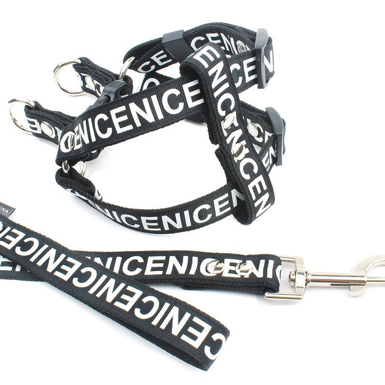 Collier de chien de traction en polyester PET occasionnel