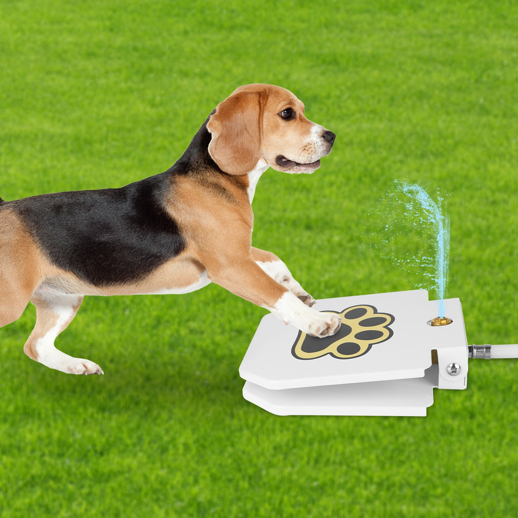 1Pc Fontaine d'eau pour chien extérieure pour chien Distributeur d'eau Step-on Activated Sprinkler with In