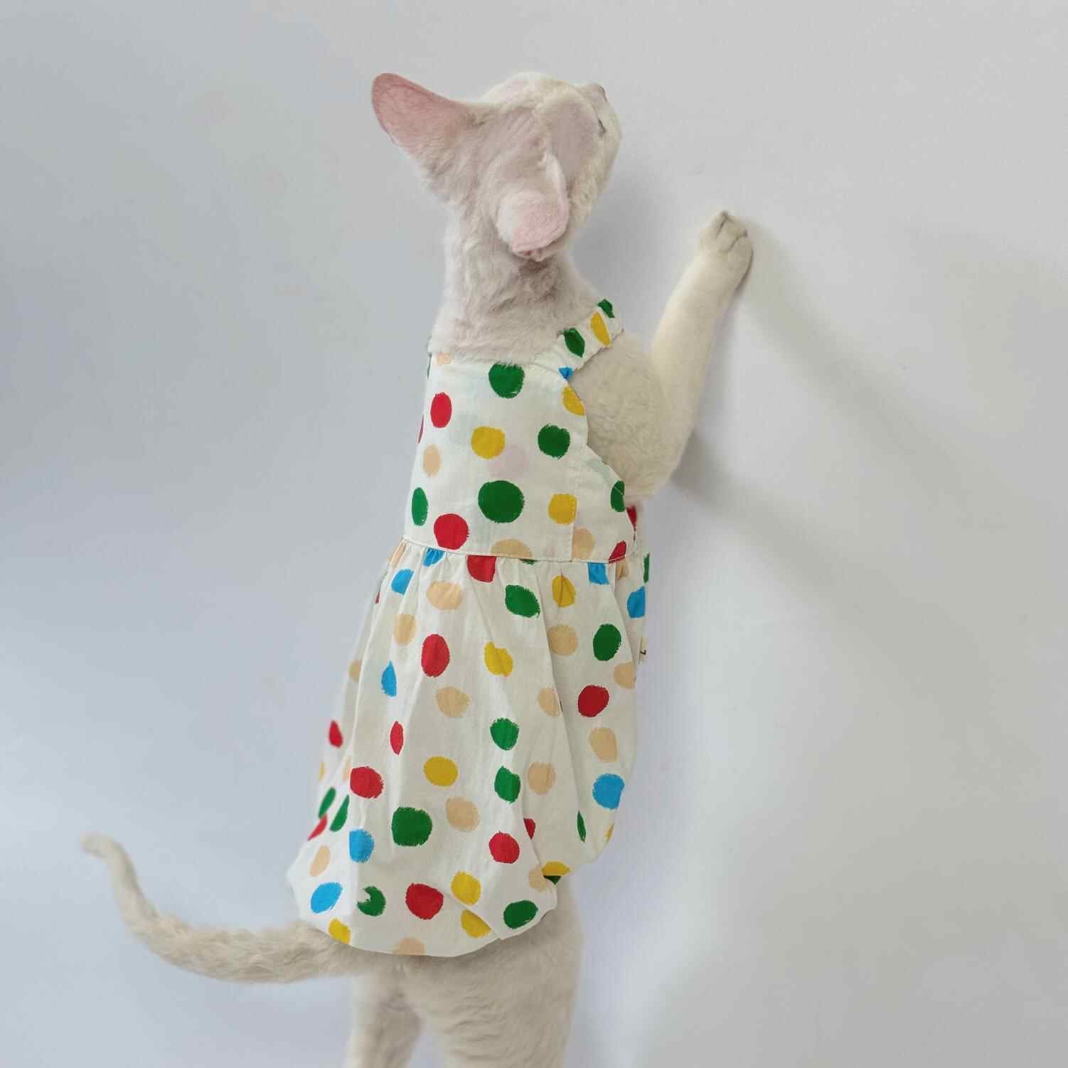 Sphynx Cat Coton Polka Dot Robe Colorée d'été pour les chats sans cheveux