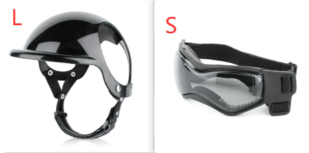 Casque de sécurité de moto de chat de chien Accessoires