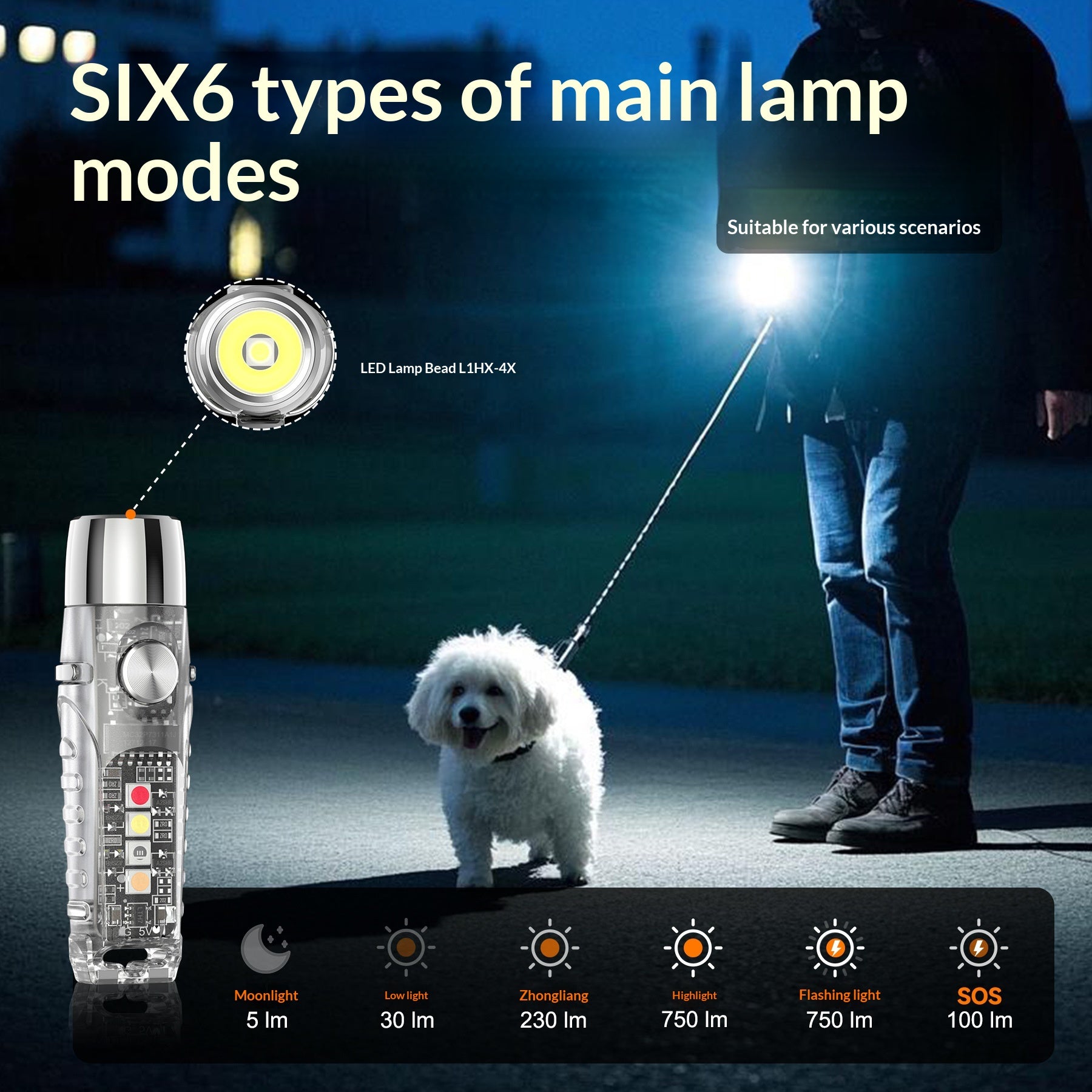 Lampe de poche porte-clés S12Pro avec lumière UV rechargeable pour la détection