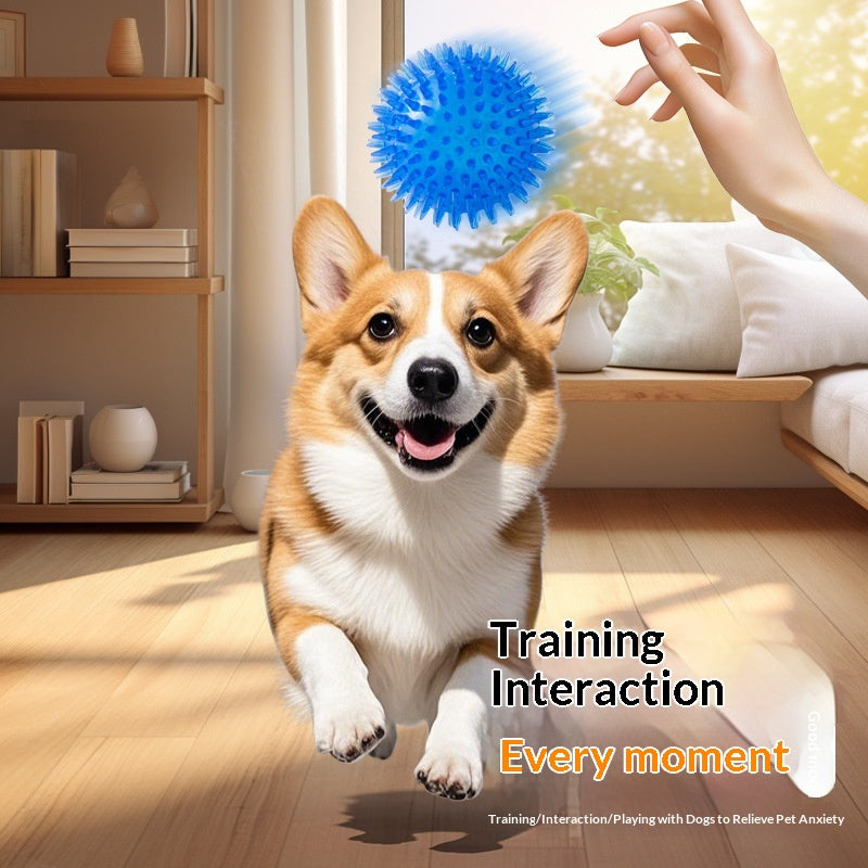 Pet Dog Toy Ball