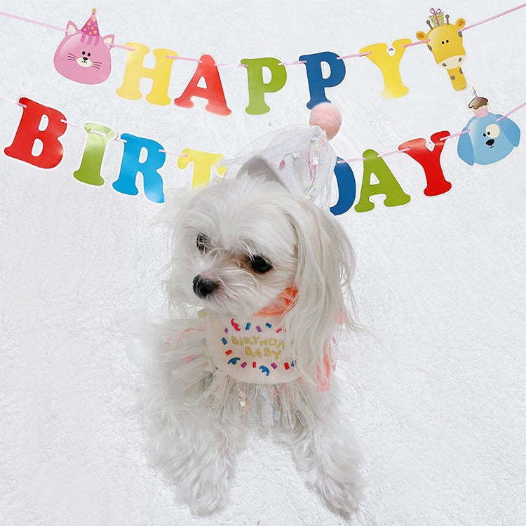 Chapeau de fête et écharpe pour chats et chiens