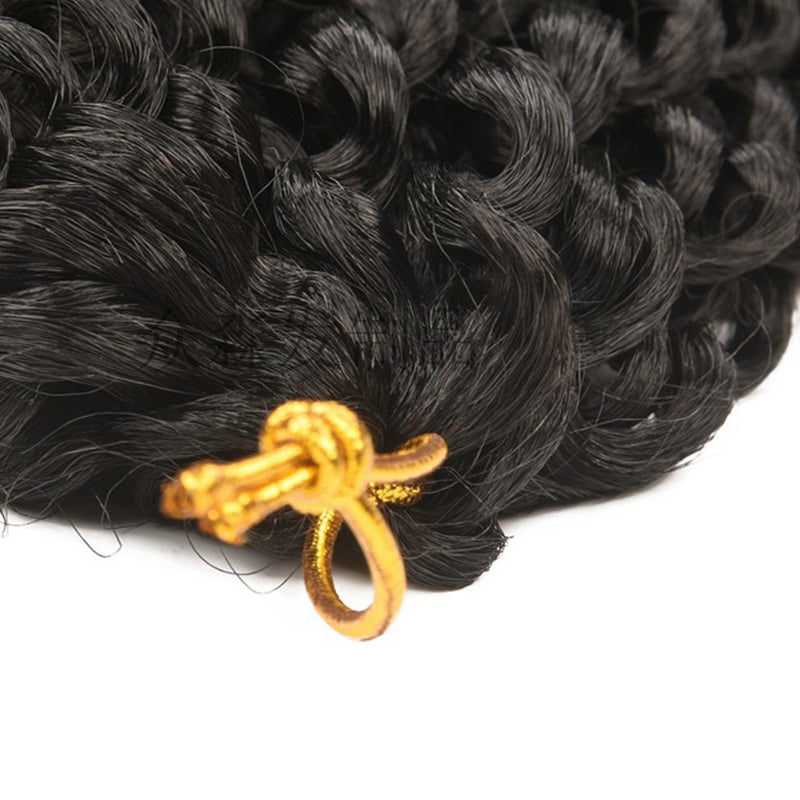 Passion Twist Crochet tresses printemps Twist extensions de cheveux