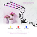 Goodland LED Grow lumière USB Phyto lampe plein spectre Fitola