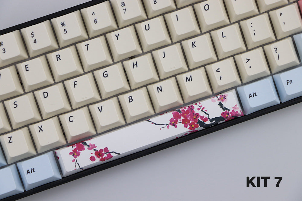Matériel Pbt 6,25 U Cerise hors ligne Keycap teint avec barre d'espace